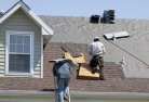Hollow Treeskylight-replacements(2).jpg; ?>